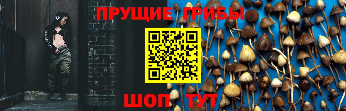 Галлюциногенные грибы Psilocybine cubensis  Псилоцибиновые грибы мухоморы  Хабаровск  Вход с VPN 